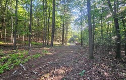 195 KNOTTY PINE ROAD, NEW BLOOMFIELD, PA 17068