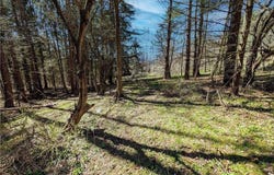South Bolivar Road, Bolivar, NY 14715