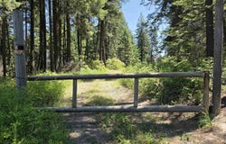 1200 White Pine Flats Rd, Troy, ID 83871