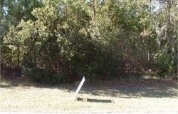 164 Palmera Lane, Brunswick, GA 31525