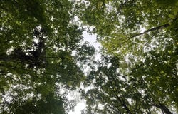 (0) Sheep Cliff Way, Sky Valley, GA 30537
