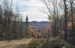 Taylor Woods Road lot: B, Temple, ME 04984