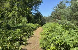 N Coates Highway, Harrietta, MI 49638