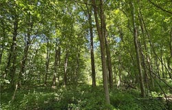 V/L 5 River Road, Madison, OH 44057
