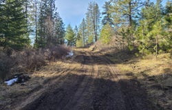 2584 BRIDGEMAN RETTINGER RD, KETTLE FALLS, WA 99141