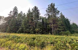 TBD Bodas Rd., Eveleth, MN 55734