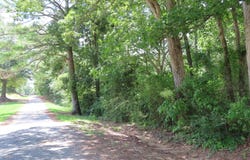 GERMAN Rd, Nauvoo, AL 35578