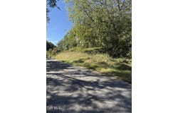 1810 Carl Doty Road, Afton, TN 37616