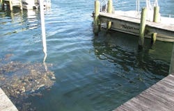 236 NW Bay Path Drive, Crystal River, FL 34428
