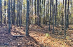 Crawford Road, Barnesville, GA 30204