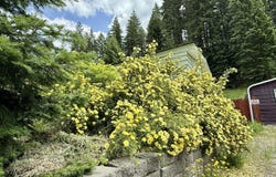 145 Mill Rd, Mullan, ID 83846