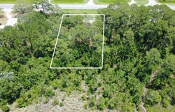 Coastal Highway, Panacea, FL 32346