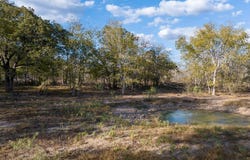 County Road 386, TX 11111