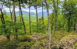 264 Jocassee Trail, Sapphire, NC 28774