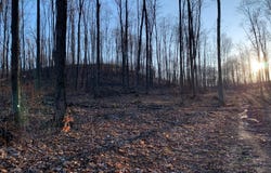 Chief ''O'' Road, Bear Lake, MI 49614