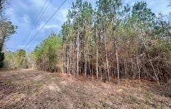 SE Lee Drive, Bogue Chitto, MS 39629