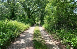 Old Field Road, Aquinnah, MA 02535