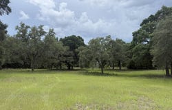 0 NW 190th Ave, Dunnellon, FL 34432