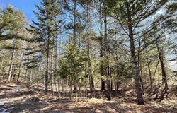 TBD N 8th, Manistique, MI 49854