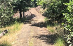 1758 SE STRONG AVE, Roseburg, OR 97470