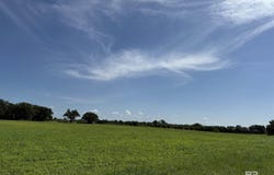 0 Weeks Road, Foley, AL 36535
