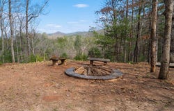 1164 Dividing Ridge Road, Mineral Bluff, GA 30559