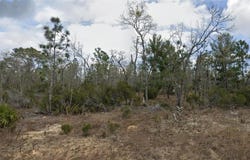 Lot 33 TWIN LAKES BLVD, INTERLACHEN, FL 32148