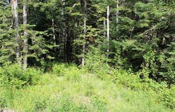 Bemis Road lot: 24B, Rangeley Plt, ME 04970