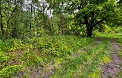 34721 52nd Street, Bangor, MI 49013