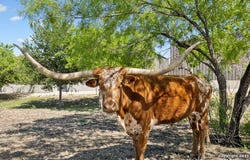 148 Lakecreek, New Braunfels, TX 78130