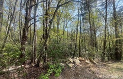 00 Western Red Bird Drive, Hendersonville, NC 28792