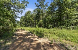 650 Little Fox Rd, Shirley, AR 72153