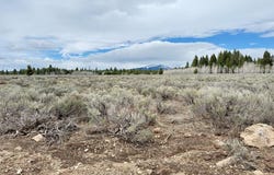 4055 Ryan, Island Park, ID 83429