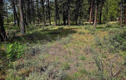 Tbd Victory Ln, Lowman, ID 83637