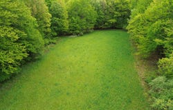 10200 N Backus Road, Lakeview, MI 48850