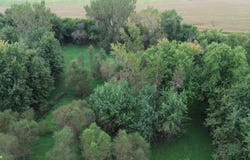34 Acres Highway 30, Wheatland, IA 52777