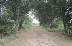 Tbd Fm 936, Hubbard, TX 76648