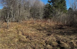 0 County Road 4, Butternuts, NY 13825