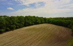 0 County Road 49, Slocomb, AL 36375