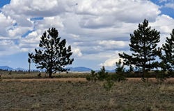 311 Haystack Road, Hartsel, CO 80449