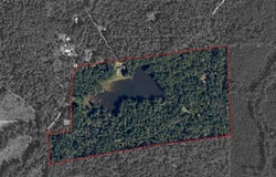 649 An County Road 1215, Grapeland, TX 75844