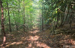 2650 Russell Gap Road, Moravian Falls, NC 28654