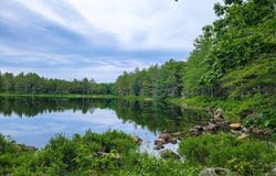 Lot #18 Holly Lane, Swanville, ME 04915
