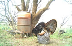 970 County Road 256, Coleman, TX 76834