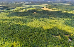 KIPPS lot: 16, ELKWOOD, VA 22718