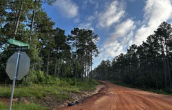 lot 293 TIMBERLINE DR, Hillister, TX 77624