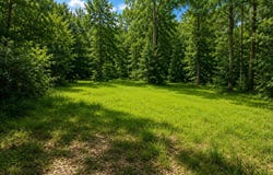 Park Place, McComb, MS 39648