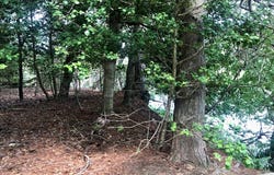 3392 VAUCLUSE LN, MACHIPONGO, VA 23405