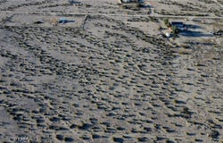 758 Papoose Trail, 29 Palms, CA 92277