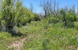 Tbd 100 acres CR 343, Merkel, TX 79536